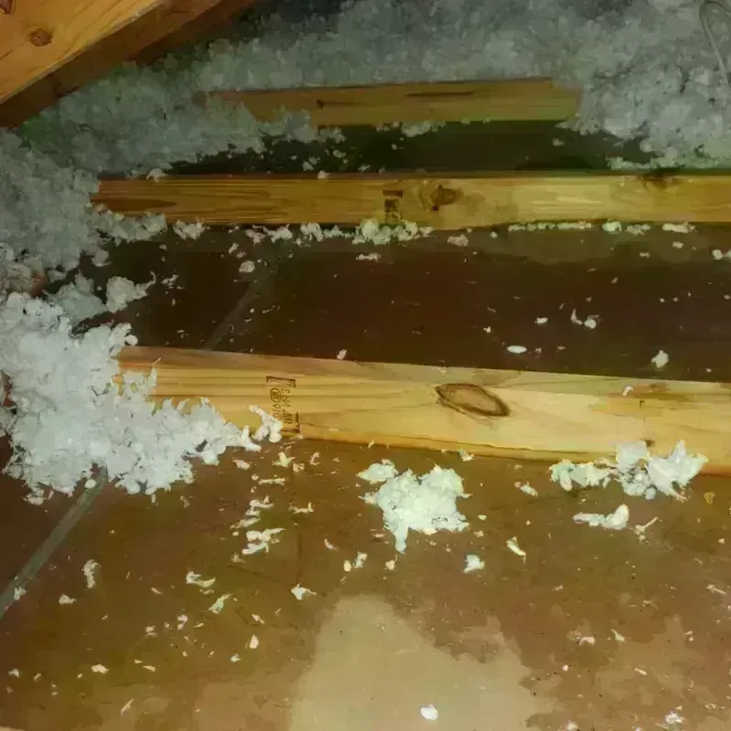 Attic Water Damage in Carlisle, IA