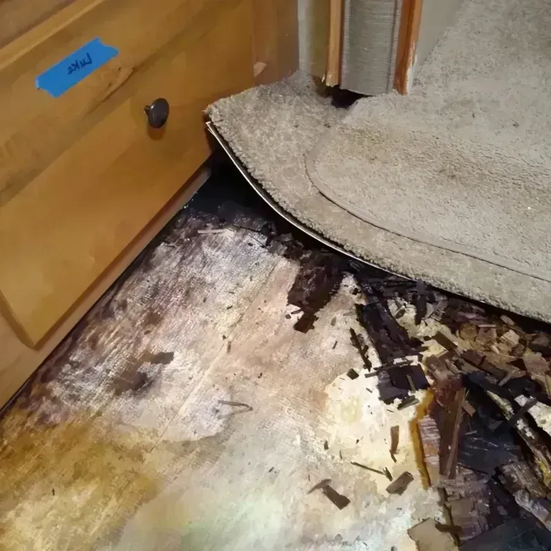 Wood Floor Water Damage in Carlisle, IA